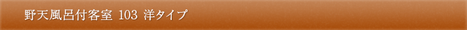 野天風呂付客室 103 洋タイプ